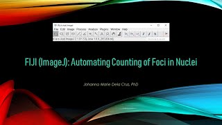 FIJI ImageJ Automating Counting of Foci in Nuclei [upl. by Harrad834]