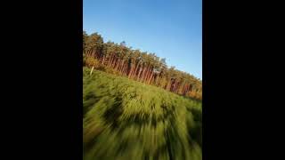 Cinematic FPV over trees [upl. by Horodko115]