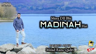 Milad Raza Qadri  Mera Dil Bhi Madinah Hai  Official Video 2022 [upl. by Ginny]