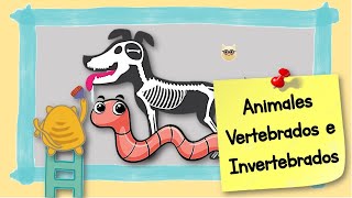 ANIMALES VERTEBRADOS E INVERTEBRADOS [upl. by Hertberg]