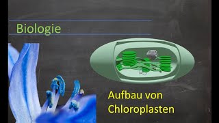 Aufbau von Chloroplasten [upl. by Manella575]