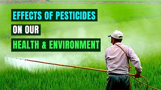 Devastating Effects of Pesticides on Our Health and Environment [upl. by Ennasirk280]