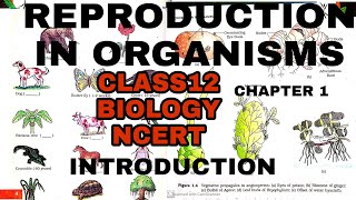 Reproductioninorganisms class12BiologyNCERT ReproductioninorganismsforNEETBOARDSUPSC [upl. by Dahc]