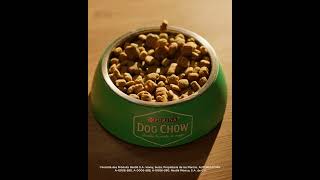 Dog Chow® con proteínas de origen animal [upl. by Epner]