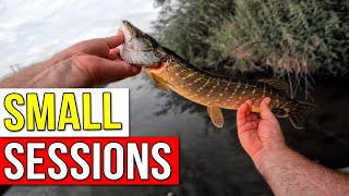 Pike Perch and Zander Clips from a few lure fishing sessions [upl. by Bumgardner873]