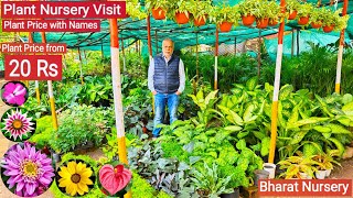 Plant Nursery visit  Plant price in nursery flowering Plants 20 Rs  Bharat Nursery [upl. by Nilyram]