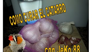 COMO CURAR CATARRO [upl. by Ariad]