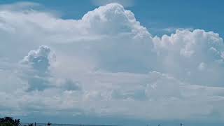 Growing Cumulonimbus to Nimbostratus Clouds [upl. by Gnut85]