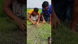 🤌🤌 experiment motivation crazyxyz farming amazingfacts facts smartlifehacks smarthome funny [upl. by Friedlander]