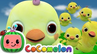 Five Little Birds 2  CoComelon Nursery Rhymes amp Kids Songs [upl. by Darce]