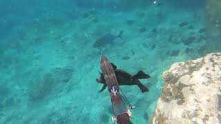 Spearfishing the Shallows of South Kona  Lost an Omilu  072621 [upl. by Estrellita]