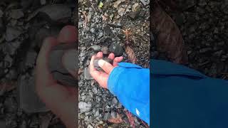 Volcanic glass rocks in Washington St [upl. by Ahsias]