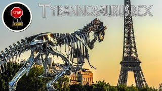 FAQ Tyrannosaurus rex [upl. by Jaco256]