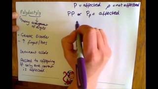 Additional Biology B2 Polydactyly [upl. by Fabyola]