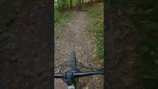 I was loving this trail untill mtb [upl. by Anaik]