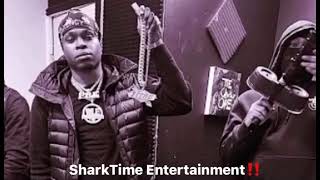 Kenny Muney  Uuuhhhh uuuuhhhh SharkTime Entertainment‼️ sharkgang pre kennymuney [upl. by Yak369]