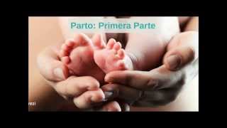 Parto Pelvis Materna Movil Fetal mecanismo de parto [upl. by Etsirk844]