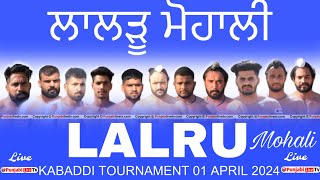 🔴 LIVE Lalru Mohali Kabaddi Tournament 01 April 2024 [upl. by Alemrac]