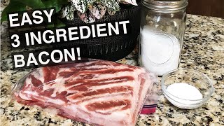 SIMPLE HOMEMADE BACON  3 INGREDIENTS  NO NITRATES  EASY  NO SMOKER NEEDED [upl. by Imnubulo]