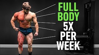 Full Body 5x Per Week Why High Frequency Training Is So Effective [upl. by Gaudette]