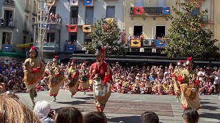 Ball dels Cavallets d’Olot  Festes del Tura 2023 [upl. by Eiramaliehs325]