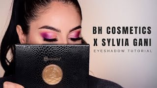 BH X SYLVIA GANI PALETTE Tutorial [upl. by Aufmann899]