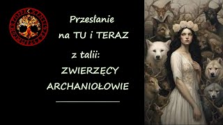 Przeslanie na TU I TERAZ z talii zwierzecy archaniolowie [upl. by Ennaylil612]