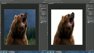 TUTO Comment détourer une image sur Photoshop [upl. by Torey]