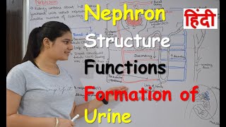 Nephron in Hindi  Structure  Functions  Urine formation  RajNEET Medical Education [upl. by Acey]