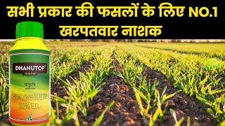 किसी भी प्रकार की फसल में क्या करें की खरपतवार उगे ही ना  pendimethalin herbicide Laxmigardening [upl. by Ttsepmet]