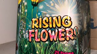 Rising flowers 25 shot firework 💐 [upl. by Winton511]