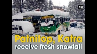 Patnitop Katra receive fresh snowfall  Jammu and Kashmir News [upl. by Orozco982]