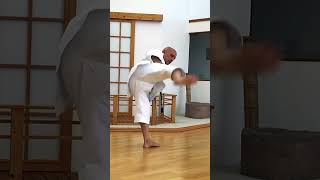 USHIRO MAWASHI GERI [upl. by Eirffej]