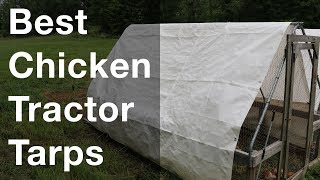 The BEST Chicken Tractor Tarps [upl. by Marion]