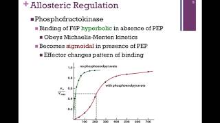 051Allosteric Regulation Summary of Enzyme Regulation [upl. by Imeon]