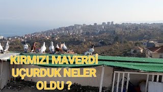 KIRMIZI MAVERDI UÇURDUK BİZDE AKSİYON BİTMEZ [upl. by Bella]