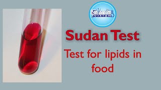 Test for Lipids Sudan Test Food Tests [upl. by Axel]