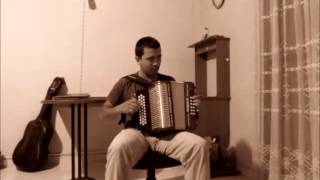 Swallowtail Jig  Diatonic Accordion Cover [upl. by Atinek]