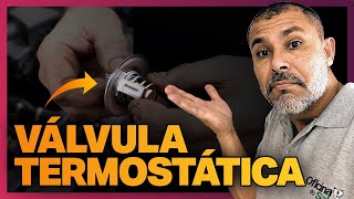 O QUE É VÁLVULA TERMOSTÁTICA Qual a sua função [upl. by Ardet120]