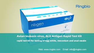 Avian leukosis virus ALV Antigen Rapid Test Kit [upl. by Atnauq]