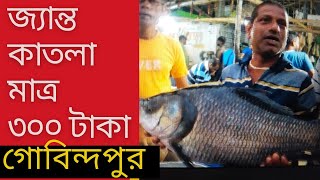 গোবিন্দপুর পাইকারী মাছের বাজার  Gobindopur Potor More vivekbindraujjalpatnisnehdesaicoachbsr [upl. by Kayla]