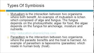 Types Of Symbiosis  Commensalism Mutualism Parasitism  Dynamic Ecosystem [upl. by Parks]