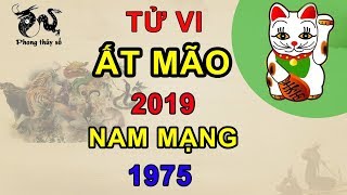 Tử vi tuổi Ất Mão năm 2019 nam mạng  Luận VẬN HẠN  LÀM ĂN  CON CÁI là Hung hay Cát [upl. by Senecal]