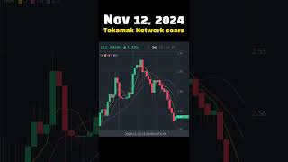 TodaySoaring Nov 12 2024 Tokamak Network soars [upl. by Fadil]