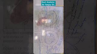 Dicot amp Monocot Root Anatomy by Sanjay Mandawariya ytshorts plantanatomy dicotroot monocot [upl. by Nosnor]