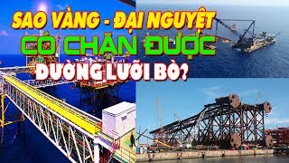 Sao Vàng  Đại Nguyệt có chặn được đường lưỡi bò ngang ngược của Trung Quốc [upl. by Nahama]