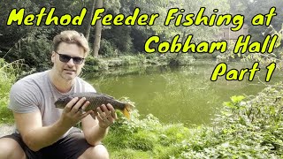 Feeder Fishing at Cobham Hall Part 1 [upl. by Cynthie749]