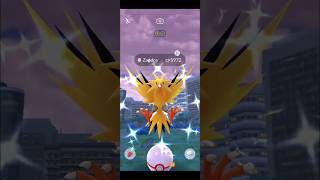 Finally Shiny Zapdos  Pokemon go Raids June  Pokemon go  pokemongo raid shorts [upl. by Monagan]