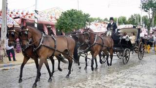 Sevilla El caballo en la Feria de Sevilla 2011 [upl. by Bone]