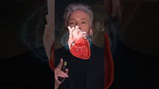 Achieving The 01 Hz Brain Coherence  Gregg Braden [upl. by Eannaj]